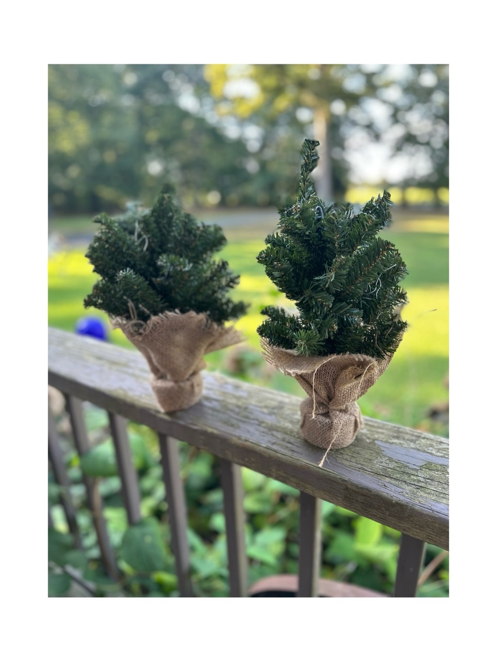 Mini Green Burlap-Wrapped Holiday Tabletop Tree Set of 2 - Home Holiday